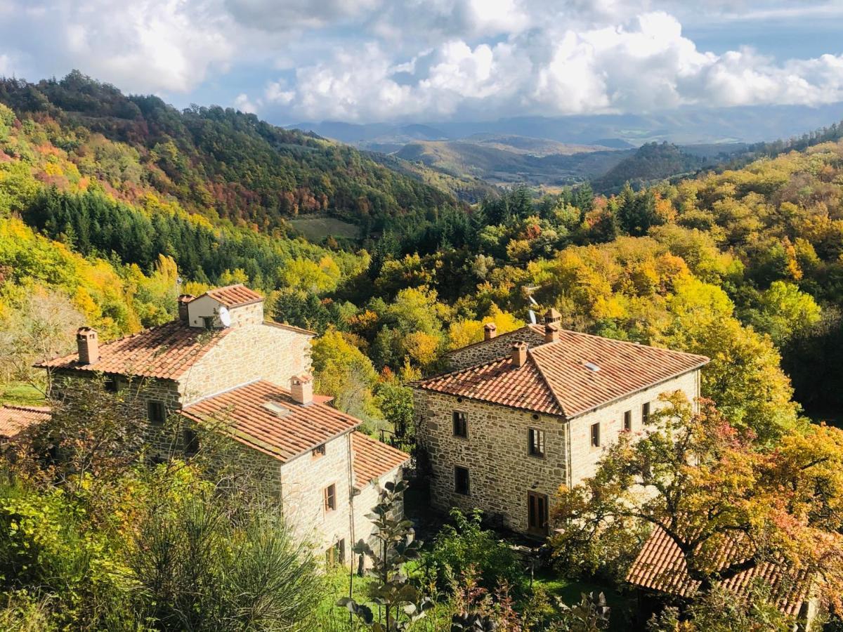 Bio Agriturismo Il Vigno Caprese Michelangelo Exteriér fotografie