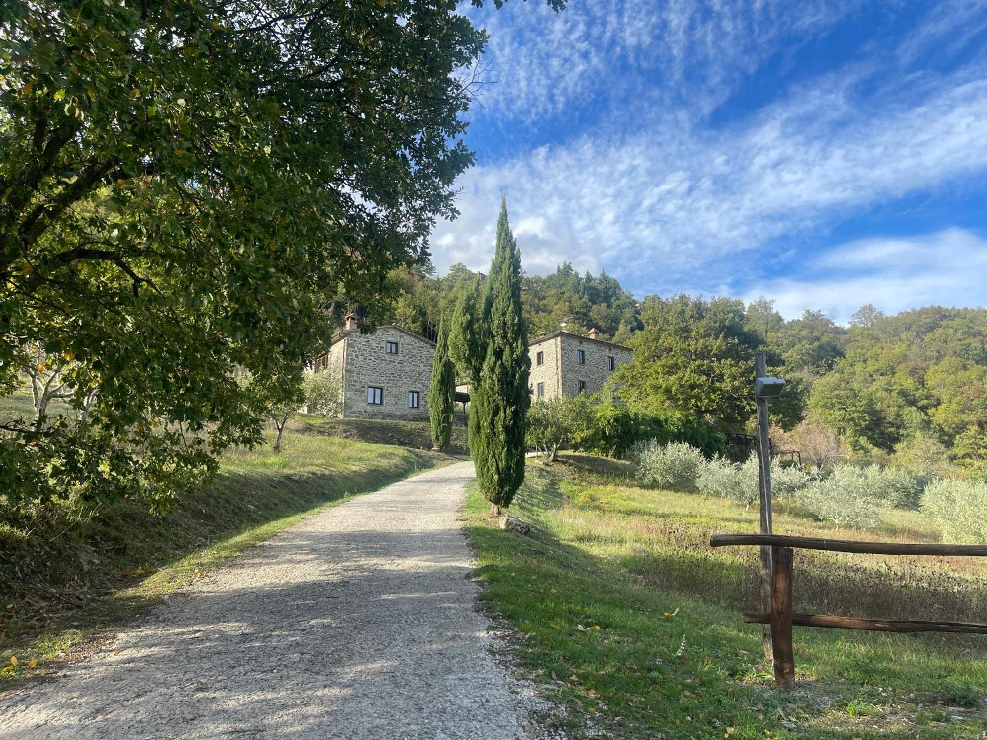 Bio Agriturismo Il Vigno Caprese Michelangelo Exteriér fotografie