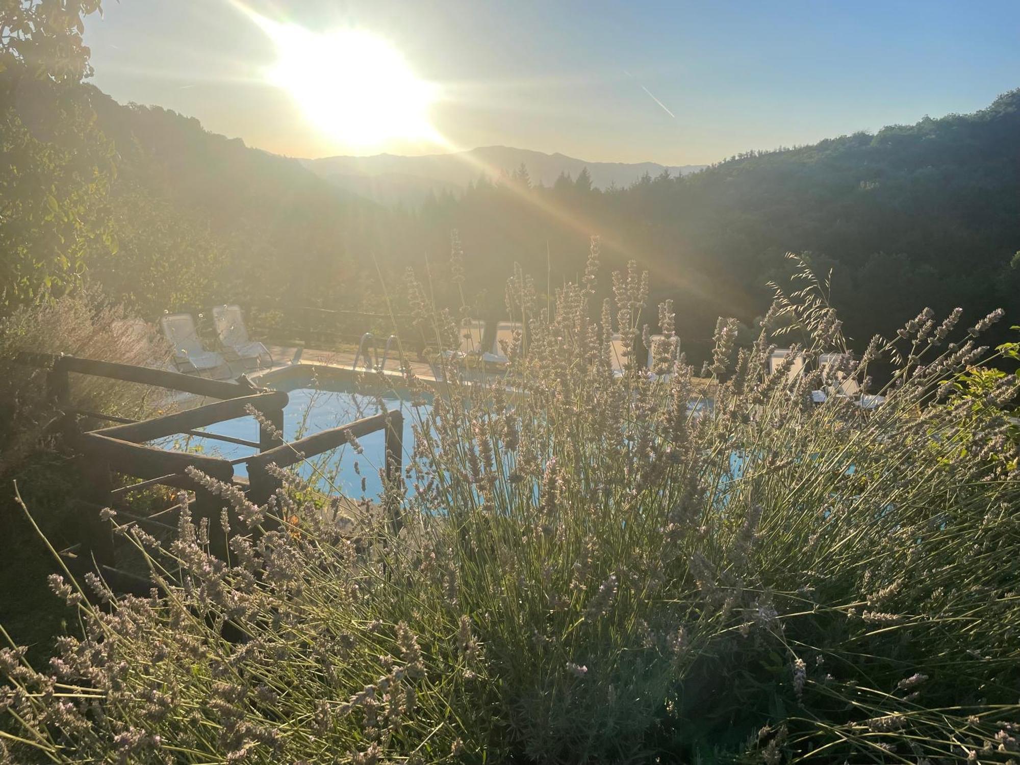 Bio Agriturismo Il Vigno Caprese Michelangelo Exteriér fotografie