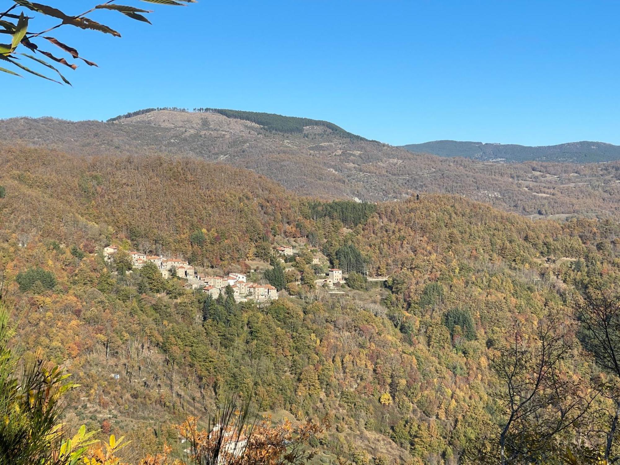 Bio Agriturismo Il Vigno Caprese Michelangelo Exteriér fotografie