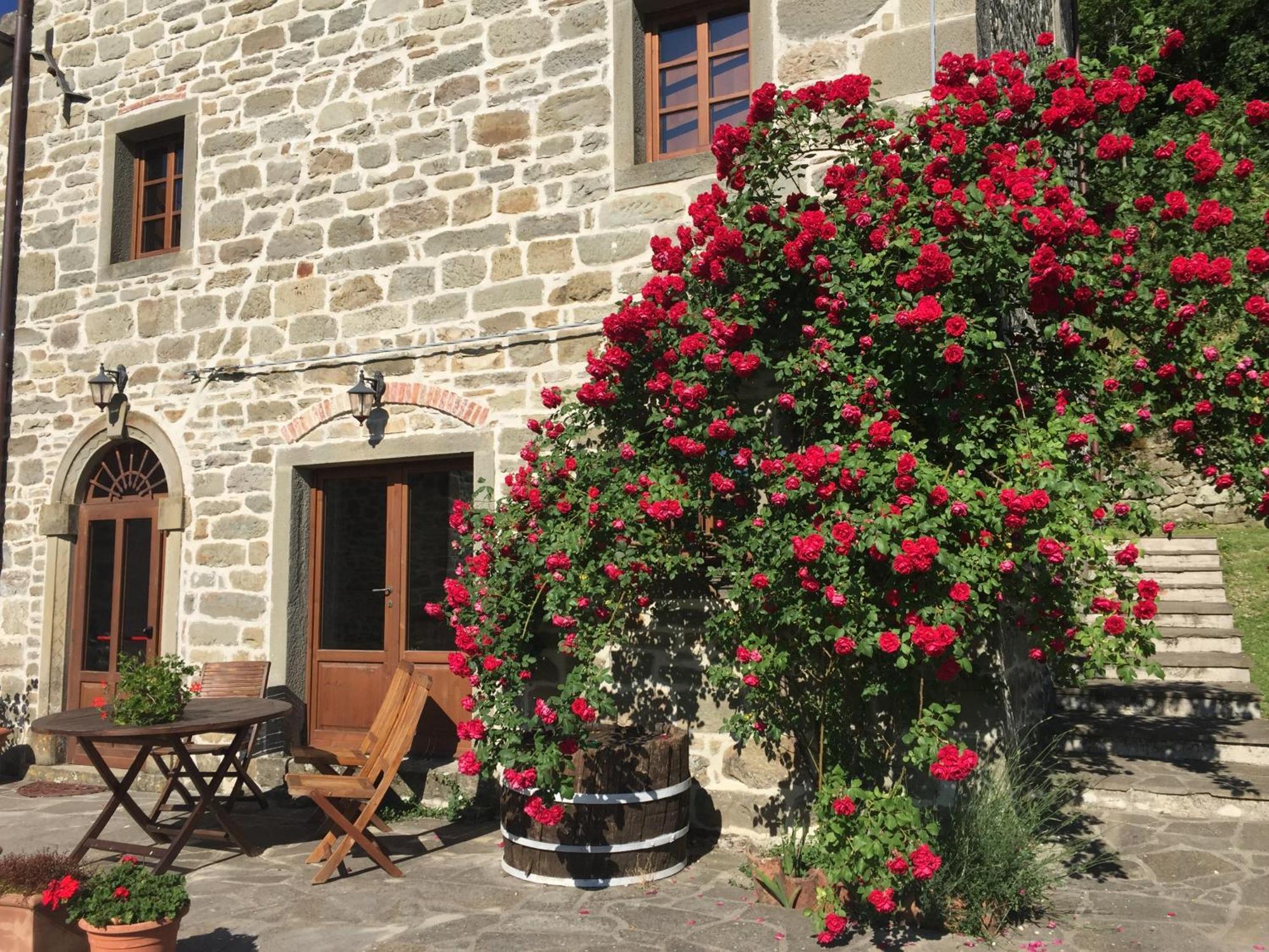 Bio Agriturismo Il Vigno Caprese Michelangelo Exteriér fotografie
