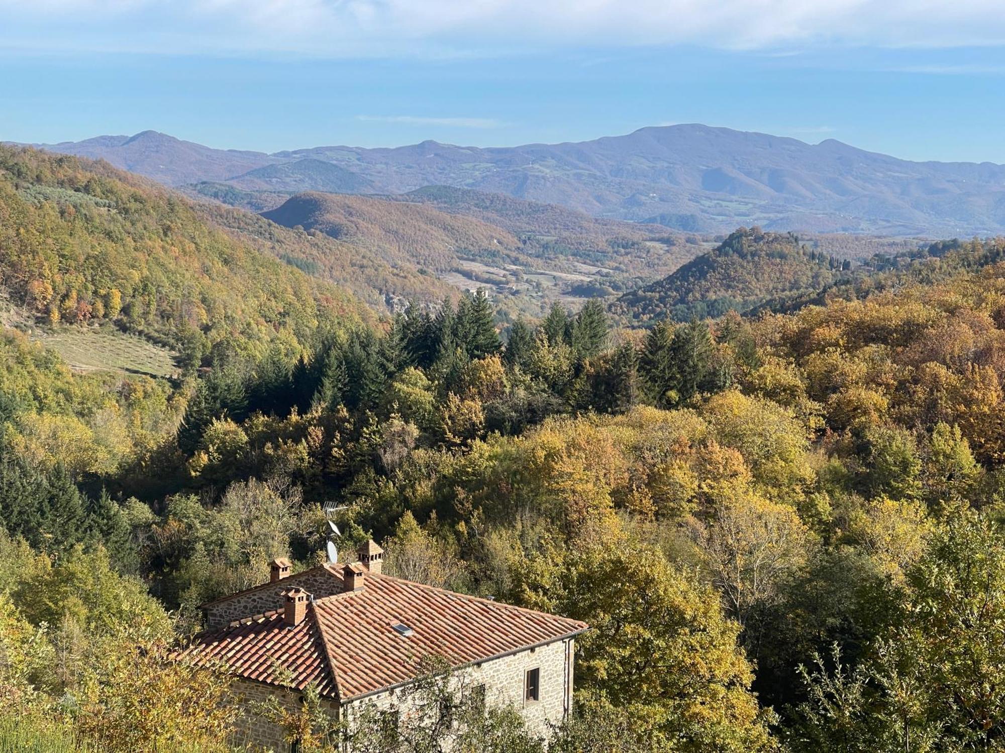 Bio Agriturismo Il Vigno Caprese Michelangelo Exteriér fotografie