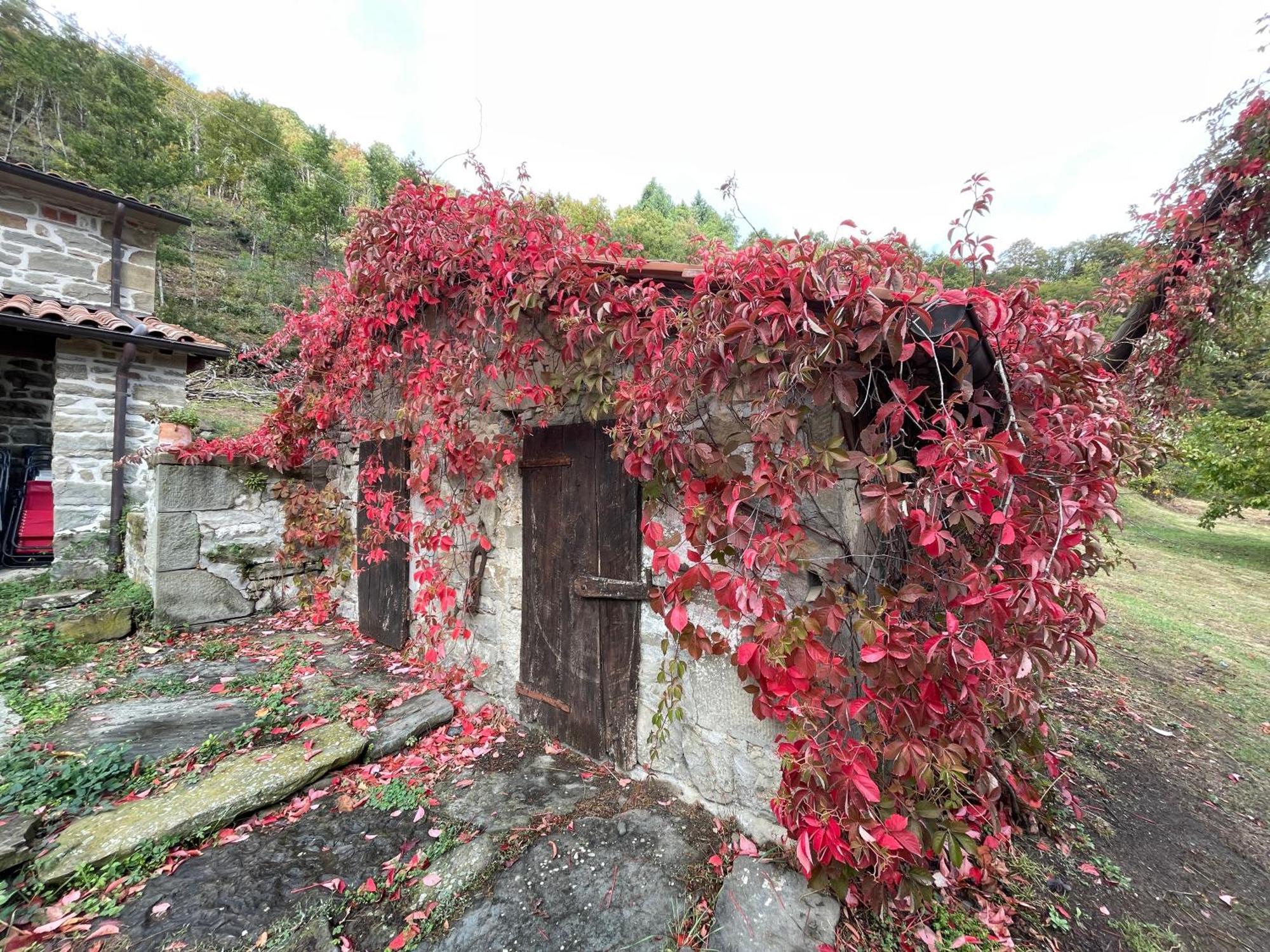 Bio Agriturismo Il Vigno Caprese Michelangelo Exteriér fotografie